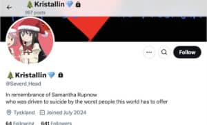 What motivated Natalie 'Samantha' Rupnow? Victim of bullying?