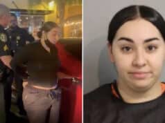 Brianna Alvelo, Kissimmee, Florida, pizza delivery driver stabs customer multiple times over bad tip.