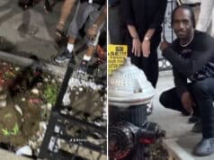 Hajj Lovick, co-founder of Bed-stuy aquarium pond initiative sentenced to 12 years for attempted murder.