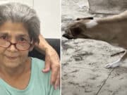 Areles Llanes, Cape Coral, Florida woman found dismembered and decomposing after eaten by her starving dogs.