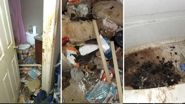 Pontiac, Michigan mom arrested abandoning 3 children for years in deplorable home.