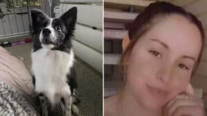 Brennah Montgomery admits to sex abuse of pet dog after starring in 153