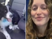 Brennah Montgomery, Las Vegas woman pleads guilty to sex abuse of dog.