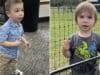 Dane Paulsen missing Siletz, Oregon 2 year old boy.