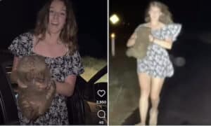 Sam Jones hunting influencer defends stealing baby wombat from mom