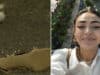 Maryam Ibrahim, Tampa, Florida woman killed pulling over to assist stranded dog along the Dale Mabry Highway only to be fatally struck by 69 year old motorist.