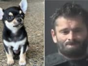 James Williamson, Atmore, Texas, dog owner cooks Chihuahua pet dog in oven, killing canine for barking too much.