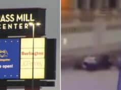 Brass Mill Center shooting at Waterbury shopping mall, Connecticut leaves 5 people injured with gunman in 20's still at large
