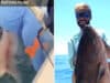 Zane Garrett, Key West, Florida fisherman charged with animal cruelty in viral shark stabbing video.