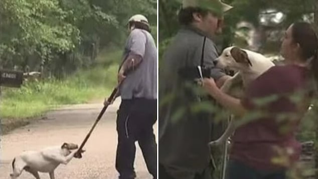 Makayla Fortner, Arkansas teen girl mauled to death by pack of malnourished dogs she was trying to rescue