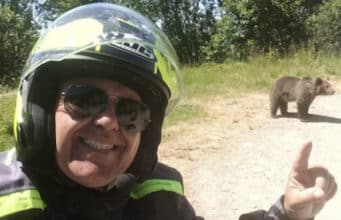 Omar Farang Zin, Italian tourist takes selfie with bear cub only to be mauled to death by mother bear less than 24 hours later in Romania
