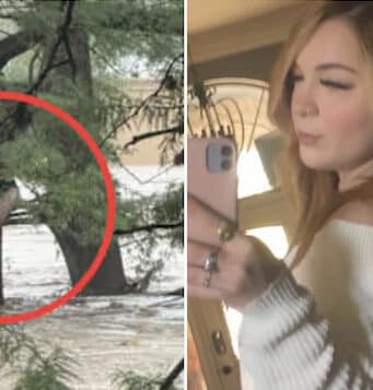 Devyn Smith, Midland, Texas woman found clinging to tree after swept for 20 miles in floodwaters