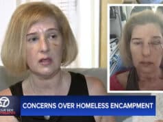 Donna DeChristopher, Los Angeles woman, 52, nearly loses an eye after vicious assault by homeless man in the Los Feliz area