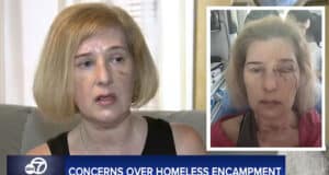 Donna DeChristopher, Los Angeles woman, 52, nearly loses an eye after vicious assault by homeless man in the Los Feliz area