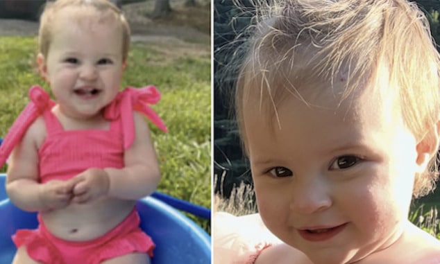 Blakely Blosser, 1 year old Ohio girl mauled to death by family pitbull dog.
