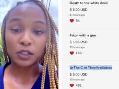Sade Perkins GiveSendGo fundraiser