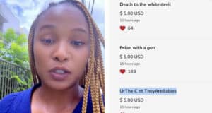 Sade Perkins GiveSendGo fundraiser