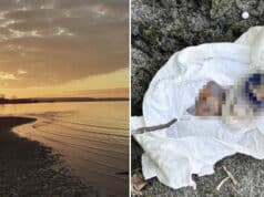 Kevin Ewing, Tacoma, Washington man walking on beach at Washington State Park finds amputated toe in gift box