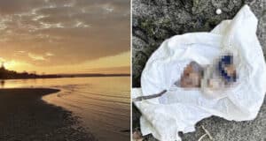Kevin Ewing, Tacoma, Washington man walking on beach at Washington State Park finds amputated toe in gift box