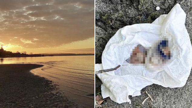 Kevin Ewing, Tacoma, Washington man walking on beach at Washington State Park finds amputated toe in gift box