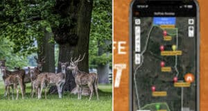 Modern hunting apps and equipment props for precision shooting