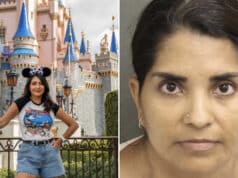 Spanish tourist charged with child abuse during altercation over standing spot during parade at Florida's Walt Disney World.