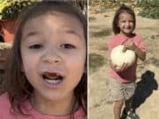 Noah Burnett, 7 year old Alabama boy killed in Chilton County dog attack
