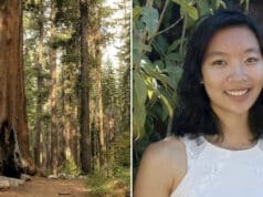 Angelina Lin, Google engineer killed in freak accident by falling branch hiking Yosemite National Park