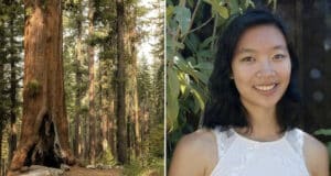 Angelina Lin, Google engineer killed in freak accident by falling branch hiking Yosemite National Park