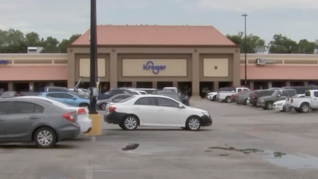 Dominique Wilson, Houston daycare operator of 'My Lil Angels' arrested leaving 5 children in 91 Fahrenheit weather to go shopping at Kroger.