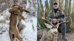 Internet cheers after Texas rancher killed hunting buffalo during safari