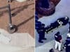 Emory University active shooting: Gunman found dead from self inflected gunshot.