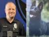 Retired K-9 dog used for single purpose narcotics detection kills Colorado Police Chief Nathan Hill's 3 year old daughter in attack.