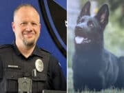 Retired K-9 dog used for single purpose narcotics detection kills Colorado Police Chief Nathan Hill's 3 year old daughter in attack.