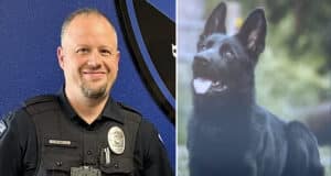 Retired K-9 dog used for single purpose narcotics detection kills Colorado Police Chief Nathan Hill's 3 year old daughter in attack.