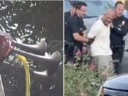 Gary Boyadzhian, Van Nuys, Los Angeles man arrested blaring his horns