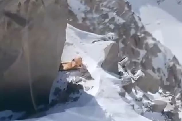 Natalia Nagovitsina, stranded Russian mountain climber with broken leg at 22K ft altitude along Victory Peak.