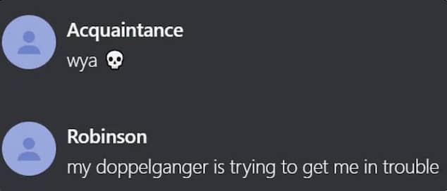 Charlie Kirk killer joked his doppelgänger did it on Discord group chat after being tagged upon FBI releasing images of the shooter