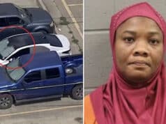 Gbemisola Akayinode Texas mom charged with hot car death of 9 year old daughter