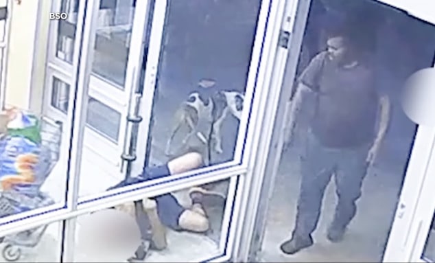 Dandrea Johnson arrested sucker punching Aldi shopper with service dog at Lauderdale Lakes grocery store putting him in coma.