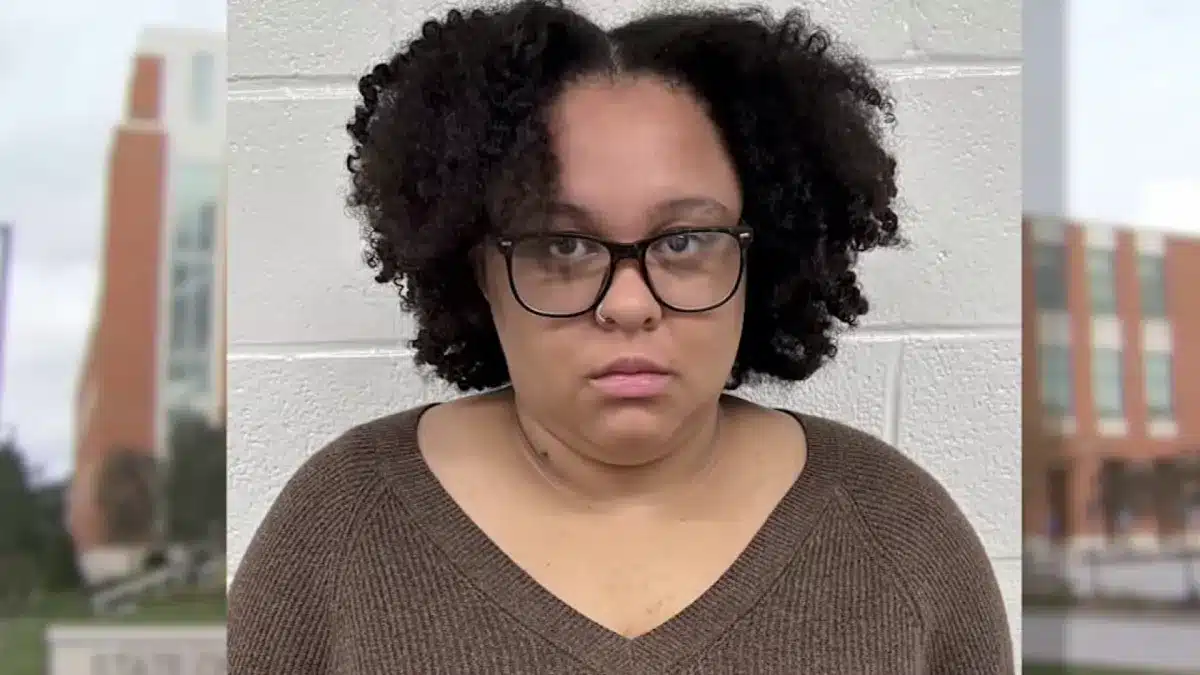 Sadie Fleming, Washington, CT mom undergoing mental health crises and experiencing paranoia charged with drowning her one month old baby son.