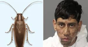 Alexis Najera Hernandez, Albuquerque, New Mexico man blames cockroach for sending him encrypted message instructing him to go shoot & kill two men