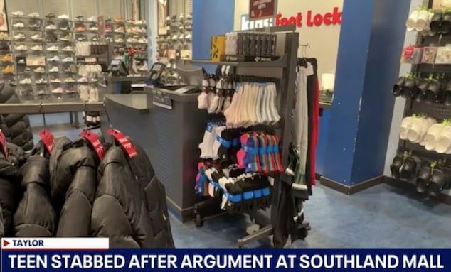 Suniya Jenkins, Detroit, Michigan girl stabbed multiple times by woman after card declined at Southland Mall in Taylor.