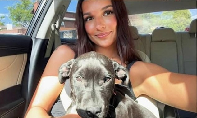 Allie Erspamer, Rock Springs, Wyoming Police Chief's daughter charged with poisoning roommate, Hallie Blake's pit bull dog.