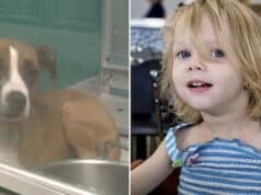 Parents of OKC toddler, Locklynn Rose McGuire killed in dog attack charged with first degree murder