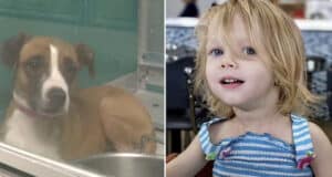 Parents of OKC toddler, Locklynn Rose McGuire killed in dog attack charged with first degree murder