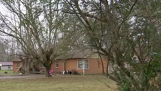 3 month old granddaughter mauled to death