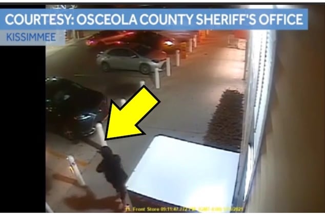 Ahmad Jihad Bojeh insanity plea for attempted murder