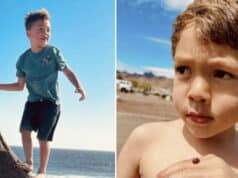 Hudson O'Loughlin 6-year-old boy killed in Pacific Beach hit and run as 32-year-old female driver is arrested