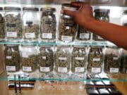 A patient's guide to getting Pennsylvania medical marijuana card